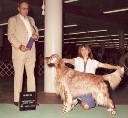 my first show dog